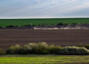 Весняна сівба: аграрії виконали 76% плану