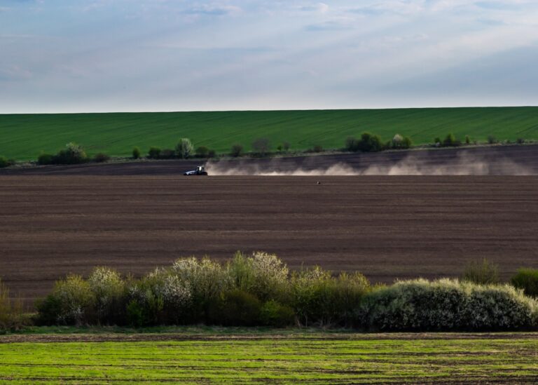 Весняна сівба: аграрії виконали 76% плану