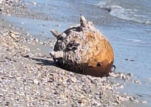 На Одещині знищили російську морську міну