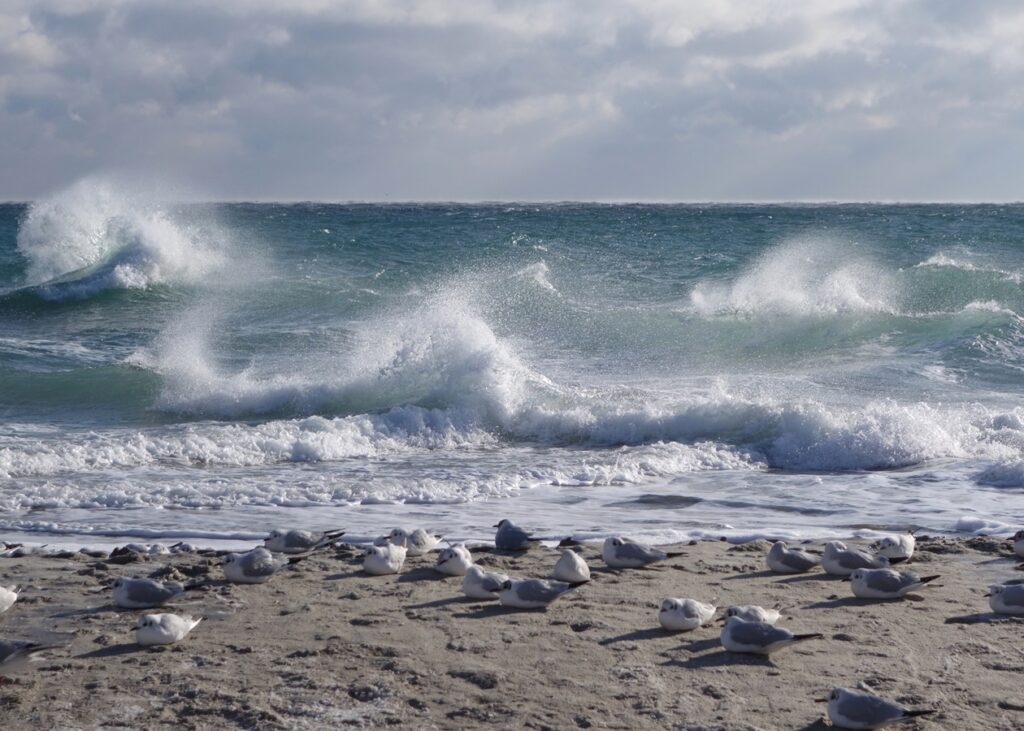 Морську міну винесло на узбережжя Одещини
