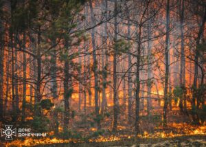 На Донеччині ліквідували масштабну лісову пожежу