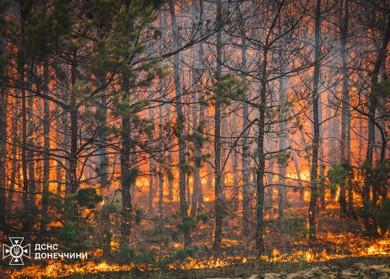 На Донеччині ліквідували масштабну лісову пожежу