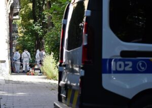 Вбивство Парубія: оприлюднено деталі розслідування