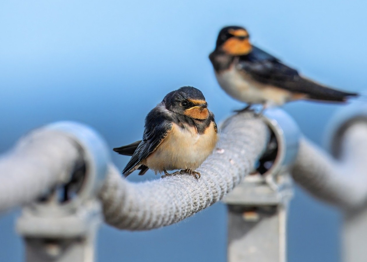 Гороскоп для всіх знаків зодіаку на 16 вересня 2025 року