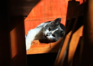 Гороскоп для всіх знаків зодіаку на 18 вересня 2025 року