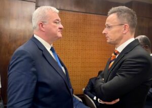 МЗС показало "сліпим" угорцям маршрут дрона на Закарпатті