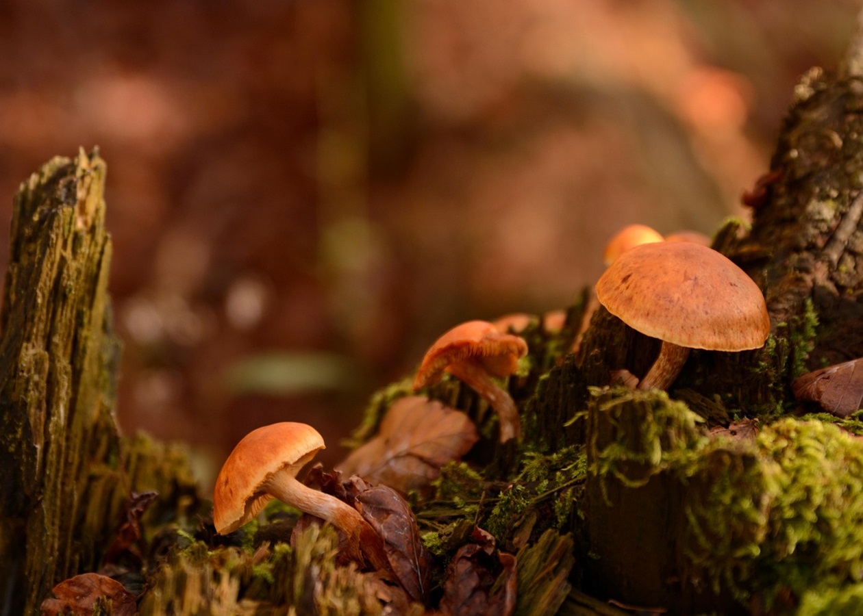 Гороскоп для всіх знаків зодіаку на 10 жовтня 2025 року