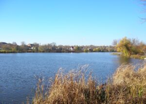 На Гайсинщині зафіксували масовий мор риби