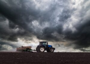 Українські аграрії засіяли 74% озимих культур