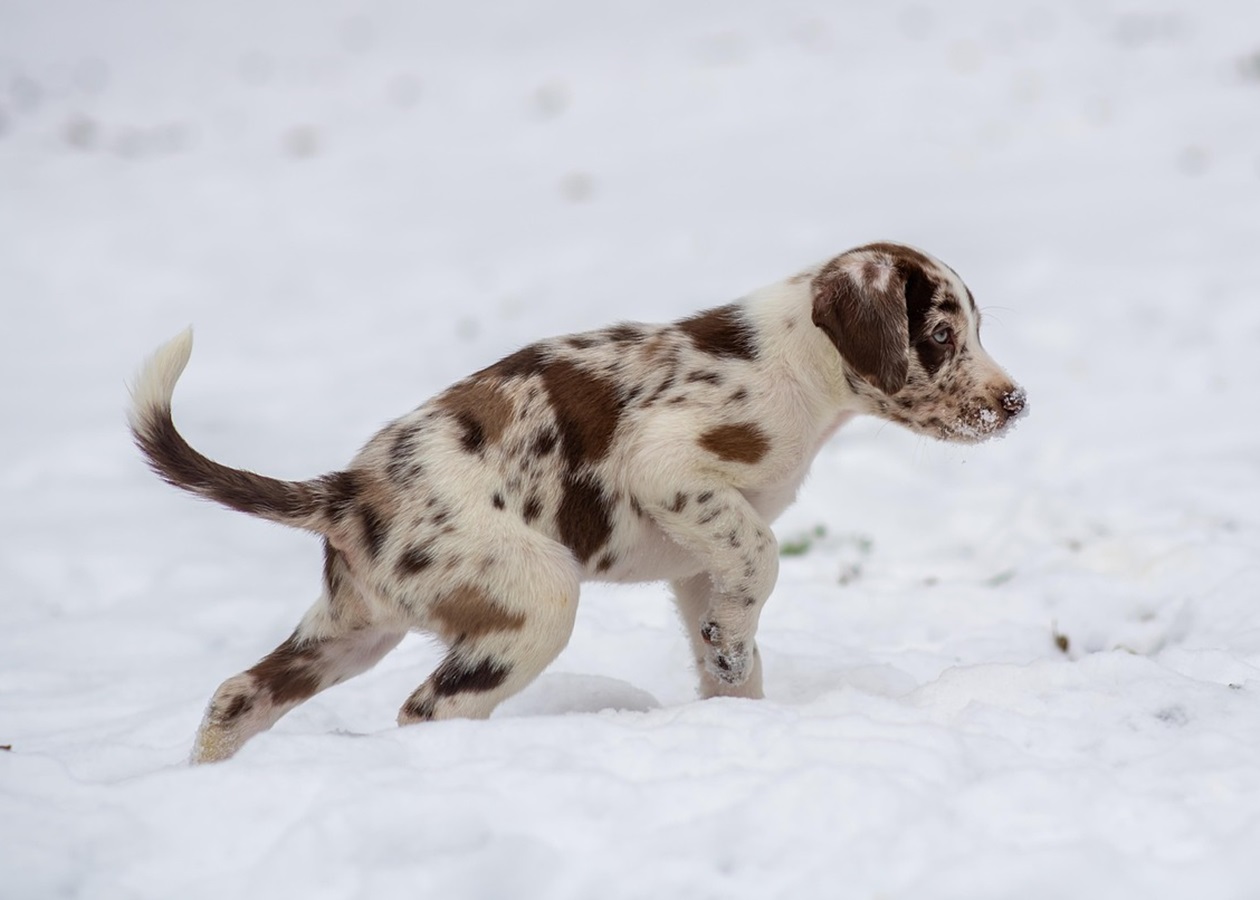 Гороскоп для всіх знаків зодіаку на 14 січня 2026 року