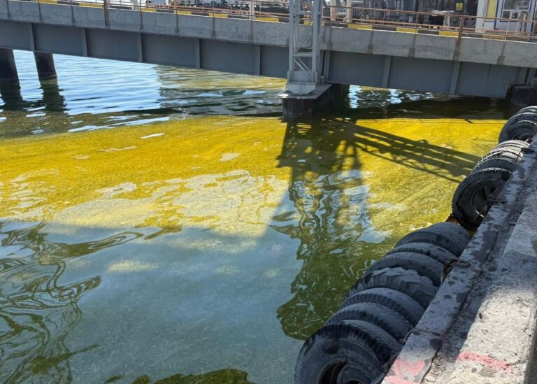 У порту Одещини в море потрапили тисячі тонн олії