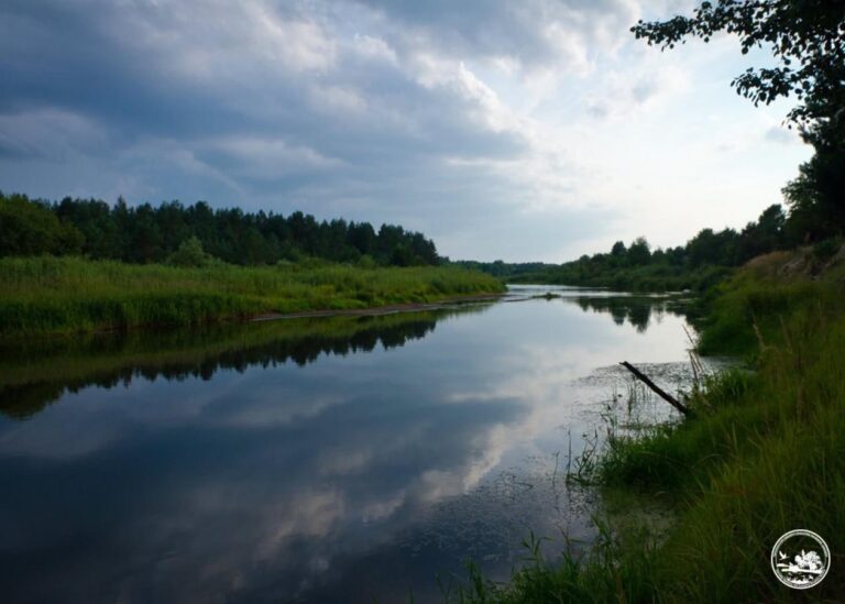 Рідкісні риби оселилися у водоймах Чорнобильської зони