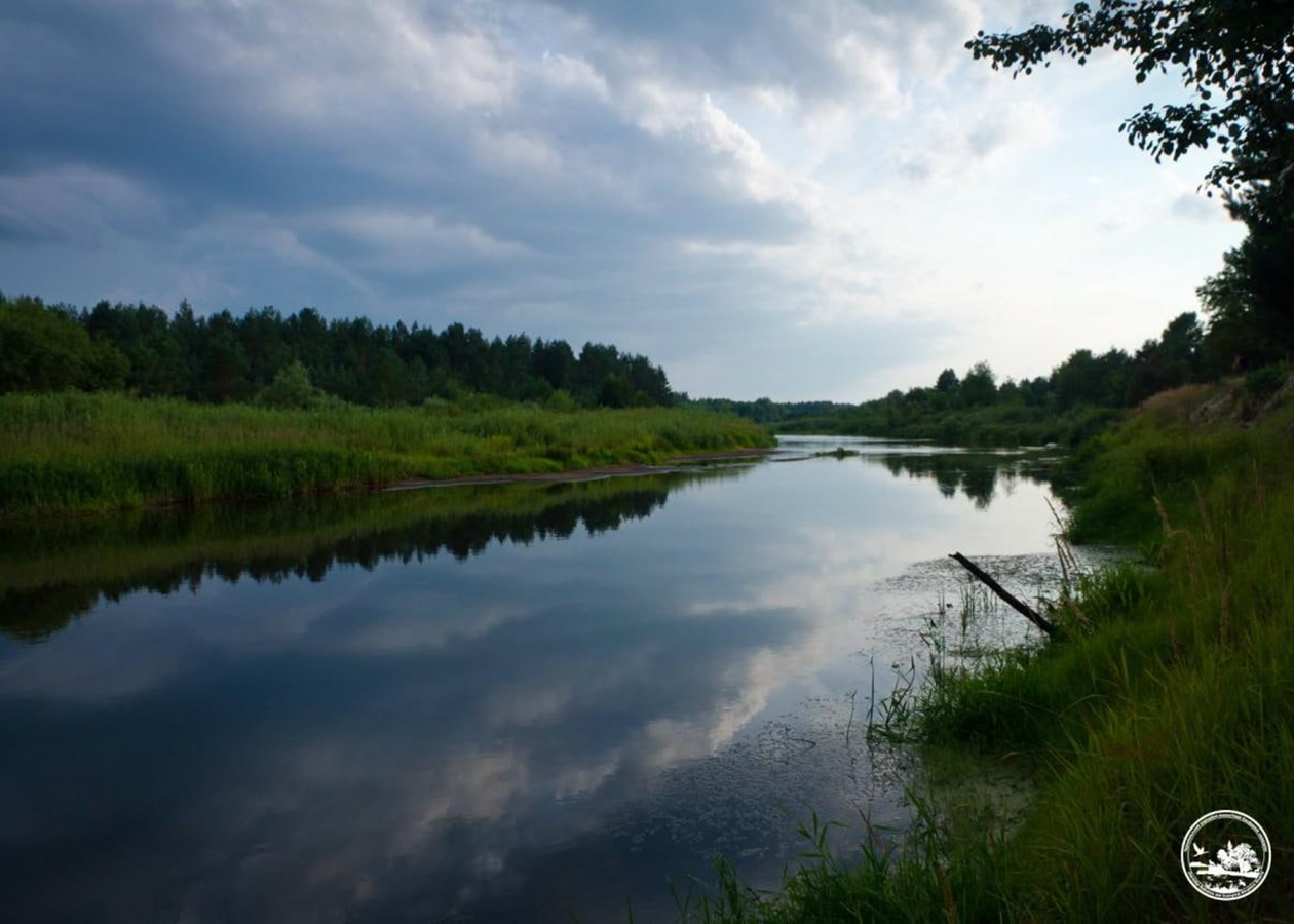 Рідкісні риби оселилися у водоймах Чорнобильської зони